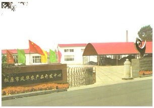 松原市風華農產品開發中心：糧油作物與軟件銷售的創新融合